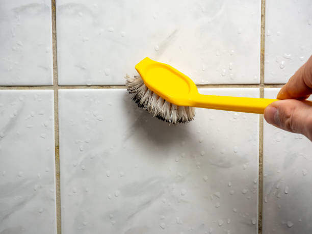 Best Black Mold Removal  in Whiteland, IN