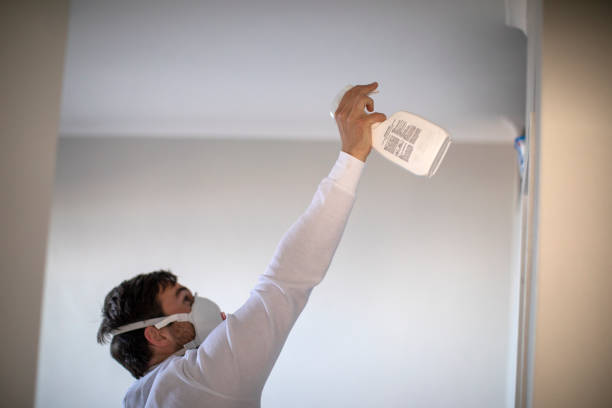 Best Best Mold Removal Companies  in Whiteland, IN
