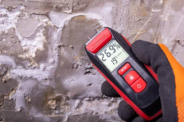 Best Crawl Space Mold Removal  in Whiteland, IN