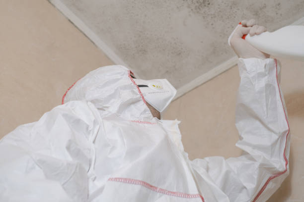 Best Certified Mold Removal  in Whiteland, IN